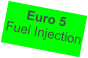 Euro 5 Fuel Injection