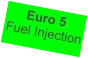 Euro 5 Fuel Injection