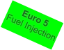 Euro 5 Fuel Injection