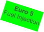 Euro 5 Fuel Injection